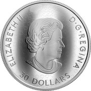 Canada 30 Dollars The Fabric of Canada 2019 ELIZABETH II D • G • REGINA 30 DOLLARS coin obverse Canada 30 Dollars The Fabric of Canada 2019 ELIZABETH II D • G • REGINA 30 DOLLARS coin obverse