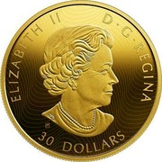 Canada 30 Dollars Wolves and Elk 2019 ELIZABETH II D • G • REGINA 30 DOLLARS coin obverse Canada 30 Dollars Wolves and Elk 2019 ELIZABETH II D • G • REGINA 30 DOLLARS coin obverse