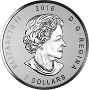 Canada 5 Dollars ANA California State Flower 2016 ELIZABETH II 2016 D G REGINA 5 DOLLARS coin obverse Canada 5 Dollars ANA California State Flower 2016 ELIZABETH II 2016 D G REGINA 5 DOLLARS coin obverse