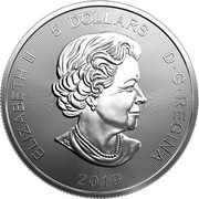 Canada 5 Dollars Grizzly bear 2019 ELIZABETH II 5 DOLLARS D • G • REGINA SB 2019 coin obverse Canada 5 Dollars Grizzly bear 2019 ELIZABETH II 5 DOLLARS D • G • REGINA SB 2019 coin obverse