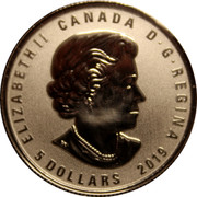 Canada 5 Dollars This Is Canada 2019  CANADA ELIZABETH II D ∙ G ∙ REGINA 5 DOLLARS 2019 coin obverse Canada 5 Dollars This Is Canada 2019  CANADA ELIZABETH II D ∙ G ∙ REGINA 5 DOLLARS 2019 coin obverse