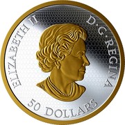 Canada 50 Dollars 2020 Canada Christmas Tree with Moving Train 3D Sculpture 2020 50 DOLLARS ELIZABETH II D G REGINA coin obverse Canada 50 Dollars 2020 Canada Christmas Tree with Moving Train 3D Sculpture 2020 50 DOLLARS ELIZABETH II D G REGINA coin obverse