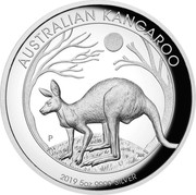 Australia 8 Dollars Australian Kangaroo 2019 AUSTRALIAN KANGAROO P AH 2019 5OZ 9999 SILVER coin reverse Australia 8 Dollars Australian Kangaroo 2019 AUSTRALIAN KANGAROO P AH 2019 5OZ 9999 SILVER coin reverse