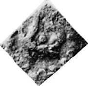 Ireland Farthing Kinsale (1647) KM# 74 coin obverse