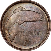 Ireland Florin 1931 KM# 7 Sterling Coinage FLÓIRIN 2S PM coin reverse Ireland Florin 1931 KM# 7 Sterling Coinage FLÓIRIN 2S PM coin reverse