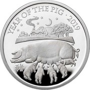 UK 10 Pounds Year Of The Pig 2019 Proof YEAR OF THE PIG 2019 coin reverse UK 10 Pounds Year Of The Pig 2019 Proof YEAR OF THE PIG 2019 coin reverse