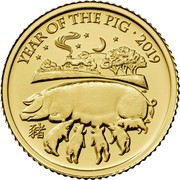 UK 10 Pounds Year of the Pig 2019 YEAR OF THE PIG 2019 coin reverse