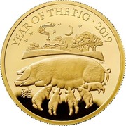 UK 100 Pounds Year of the Pig 2019 YEAR OF THE PIG ∙ 2019 coin reverse UK 100 Pounds Year of the Pig 2019 YEAR OF THE PIG ∙ 2019 coin reverse
