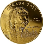 Canada 2,500 Dollars Robert Bateman's Into the Light - Lion 2019 CANADA 2019 2500 DOLLARS coin reverse Canada 2,500 Dollars Robert Bateman's Into the Light - Lion 2019 CANADA 2019 2500 DOLLARS coin reverse