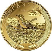 Canada 2 Dollars Robins 2016 KM# 2107 CANADA 2 DOLLARS (1996-2016) coin reverse Canada 2 Dollars Robins 2016 KM# 2107 CANADA 2 DOLLARS (1996-2016) coin reverse