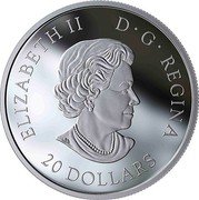 Canada 20 Dollars Holiday Cookies 2020 ELIZABETH II D G REGINA 20 DOLLARS coin obverse Canada 20 Dollars Holiday Cookies 2020 ELIZABETH II D G REGINA 20 DOLLARS coin obverse