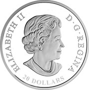 Canada 20 Dollars Maple Tree Tunnel 2018 ELIZABETH II D•G•REGINA 20 DOLLARS coin obverse Canada 20 Dollars Maple Tree Tunnel 2018 ELIZABETH II D•G•REGINA 20 DOLLARS coin obverse