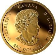 Canada 200 Dollars Peace Dollar 2020 ELIZABETH II CANADA D•G•REGINA 200 DOLLARS coin obverse Canada 200 Dollars Peace Dollar 2020 ELIZABETH II CANADA D•G•REGINA 200 DOLLARS coin obverse