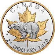 Canada 25 Dollars Polar Bear - Piedfort 2020 CANADA 25 DOLLARS 2020 coin reverse Canada 25 Dollars Polar Bear - Piedfort 2020 CANADA 25 DOLLARS 2020 coin reverse