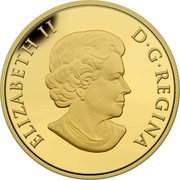 Canada 250 Dollars Broadleaf Arrowhead Flower and Turtle 2015 Proof ELIZABETH II D•G•REGINA coin obverse Canada 250 Dollars Broadleaf Arrowhead Flower and Turtle 2015 Proof ELIZABETH II D•G•REGINA coin obverse