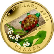 Canada 250 Dollars Broadleaf Arrowhead Flower and Turtle 2015 Proof 250 DOLLARS 2015 CANADA coin reverse Canada 250 Dollars Broadleaf Arrowhead Flower and Turtle 2015 Proof 250 DOLLARS 2015 CANADA coin reverse