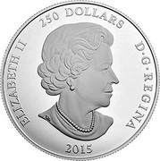 Canada 250 Dollars Eyes of the Cougar 2015 KM# 2051 ELIZABETH II 250 DOLLARS D G REGINA 2015 coin obverse Canada 250 Dollars Eyes of the Cougar 2015 KM# 2051 ELIZABETH II 250 DOLLARS D G REGINA 2015 coin obverse
