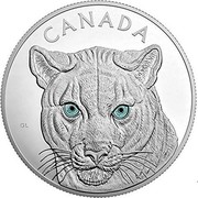 Canada 250 Dollars Eyes of the Cougar 2015 KM# 2051 CANADA coin reverse Canada 250 Dollars Eyes of the Cougar 2015 KM# 2051 CANADA coin reverse