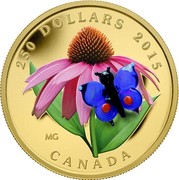 Canada 250 Dollars Purple Coneflower and Eastern Tailed Blue Butterfly 2015 Proof 250 DOLLARS 2015 CANADA coin reverse Canada 250 Dollars Purple Coneflower and Eastern Tailed Blue Butterfly 2015 Proof 250 DOLLARS 2015 CANADA coin reverse