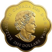 Canada 2500 Dollars Year of the Rat 2020 Proof ELIZABETH II CANADA 2020 D G REGINA SB 2500 DOLLARS coin obverse