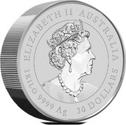Australia 30 Dollars Year of the Mouse 2020 P ELIZABETH II AUSTRALIA 30 DOLLARS 1 KILO 9999 AG coin obverse Australia 30 Dollars Year of the Mouse 2020 P ELIZABETH II AUSTRALIA 30 DOLLARS 1 KILO 9999 AG coin obverse
