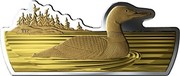 Canada 50 Dollars Real Shapes - The Common Loon 2020  coin reverse Canada 50 Dollars Real Shapes - The Common Loon 2020  coin reverse