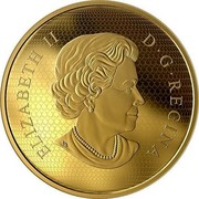 Canada 500 Dollars 40th Anniversary of the Gold Maple Leaf 2019 ELIZABETH II D • G • REGINA coin obverse Canada 500 Dollars 40th Anniversary of the Gold Maple Leaf 2019 ELIZABETH II D • G • REGINA coin obverse