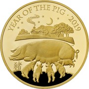 UK 500 Pounds Year of the Pig 2019 Proof YEAR OF THE PIG 2019 coin reverse UK 500 Pounds Year of the Pig 2019 Proof YEAR OF THE PIG 2019 coin reverse