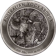 Australia 60 Dollars Kookaburra 2020 AUSTRALIAN KOOKABURRA P 2020 2KILO 9999 SILVER coin reverse Australia 60 Dollars Kookaburra 2020 AUSTRALIAN KOOKABURRA P 2020 2KILO 9999 SILVER coin reverse