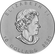 Canada 10 Dollars Canadian goose 2020 Proof ELIZABETH II 10 DOLLARS 2020 coin obverse Canada 10 Dollars Canadian goose 2020 Proof ELIZABETH II 10 DOLLARS 2020 coin obverse