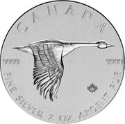 Canada 10 Dollars Canadian goose 2020 Proof 9999 9999 CANADA FINE SILVER 2 OZ ARGENT PUR coin reverse Canada 10 Dollars Canadian goose 2020 Proof 9999 9999 CANADA FINE SILVER 2 OZ ARGENT PUR coin reverse