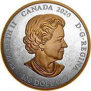 Canada 100 Dollars The Armorial Bearings of the Dominion of Canada 2020 ELIZABETH II CANADA 2020 D G REGINA 100 DOLLARS coin obverse Canada 100 Dollars The Armorial Bearings of the Dominion of Canada 2020 ELIZABETH II CANADA 2020 D G REGINA 100 DOLLARS coin obverse