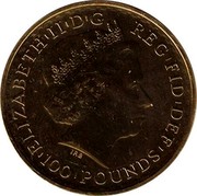 UK 100 Pounds (Elizabeth II (4th portrait)) ELIZABETH II D G REG FID DEF 100 POUNDS coin obverse UK 100 Pounds (Elizabeth II (4th portrait)) ELIZABETH II D G REG FID DEF 100 POUNDS coin obverse