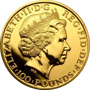 UK 100 Pounds Year of the Horse 2014 Bullion ELIZABETH II D G REG FID DEF IRB 100 POUNDS coin obverse