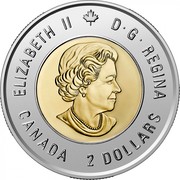 Canada 2 Dollars Bill Reid Colored 2020 ELIZABETH II D G REGINA SB CANADA 2 DOLLARS coin obverse Canada 2 Dollars Bill Reid Colored 2020 ELIZABETH II D G REGINA SB CANADA 2 DOLLARS coin obverse