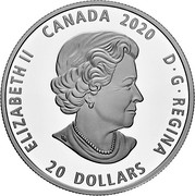 Canada 20 Dollars Xhuwaji - Haida Grizzly Bear 2020 ELIZABETH II CANADA 2020 D G REGINA 20 DOLLARS coin obverse Canada 20 Dollars Xhuwaji - Haida Grizzly Bear 2020 ELIZABETH II CANADA 2020 D G REGINA 20 DOLLARS coin obverse