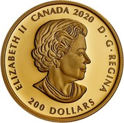 Canada 200 Dollars Xhuwaji - Haida Grizzly Bear 2020 ELIZABETH II CANADA 2020 D G REGINA 200 DOLLARS coin obverse Canada 200 Dollars Xhuwaji - Haida Grizzly Bear 2020 ELIZABETH II CANADA 2020 D G REGINA 200 DOLLARS coin obverse