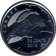 2013 CANADA 25 Cent Frosted Large Whale Coin From Mint Roll UNC 