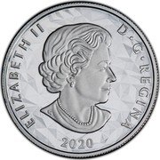 Canada 25 Dollars Animal Head - Bear 2020 Proof 2019 ELIZABETH II D G REGINA coin obverse Canada 25 Dollars Animal Head - Bear 2020 Proof 2019 ELIZABETH II D G REGINA coin obverse