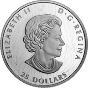 Canada 25 Dollars Proud Bald Eagle 2020 ELIZABETH II D G REGINA 25 DOLLARS coin obverse Canada 25 Dollars Proud Bald Eagle 2020 ELIZABETH II D G REGINA 25 DOLLARS coin obverse