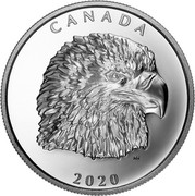 Canada 25 Dollars Proud Bald Eagle 2020 CANADA 2020 coin reverse Canada 25 Dollars Proud Bald Eagle 2020 CANADA 2020 coin reverse