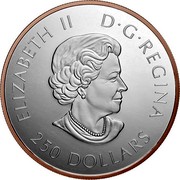 Canada 250 Dollars Canadian Maple Leaves 2020 ELIZABETH II D G REGINA 250 DOLLARS coin obverse Canada 250 Dollars Canadian Maple Leaves 2020 ELIZABETH II D G REGINA 250 DOLLARS coin obverse