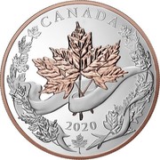 Canada 250 Dollars Canadian Maple Leaves 2020 CANADA 2020 coin reverse Canada 250 Dollars Canadian Maple Leaves 2020 CANADA 2020 coin reverse