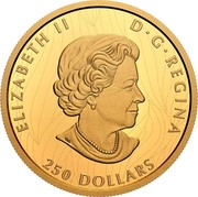 Canada 250 Dollars Proud Bald Eagle 2020 ELIZABETH II D G REGINA 250 DOLLARS coin obverse Canada 250 Dollars Proud Bald Eagle 2020 ELIZABETH II D G REGINA 250 DOLLARS coin obverse