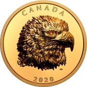 Canada 250 Dollars Proud Bald Eagle 2020 CANADA 2020 coin reverse Canada 250 Dollars Proud Bald Eagle 2020 CANADA 2020 coin reverse