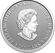 Canada 3 Dollars Alberta. Wild Rose 2020 ELIZABETH II CANADA 2020 D G REGINA 3 DOLLARS coin obverse Canada 3 Dollars Alberta. Wild Rose 2020 ELIZABETH II CANADA 2020 D G REGINA 3 DOLLARS coin obverse