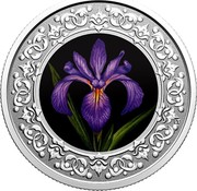 Canada 3 Dollars Blue Flag Iris 2020  coin reverse Canada 3 Dollars Blue Flag Iris 2020  coin reverse