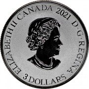 Canada 3 Dollars Fireweed 2021 Reverse proof ELIZABETH II CANADA 2020 D G REGINA 3 DOLLARS coin obverse Canada 3 Dollars Fireweed 2021 Reverse proof ELIZABETH II CANADA 2020 D G REGINA 3 DOLLARS coin obverse