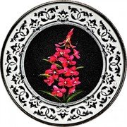 Canada 3 Dollars Fireweed 2021 Reverse proof  coin reverse Canada 3 Dollars Fireweed 2021 Reverse proof  coin reverse