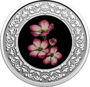 Canada 3 Dollars Mayflower 2020  coin reverse Canada 3 Dollars Mayflower 2020  coin reverse